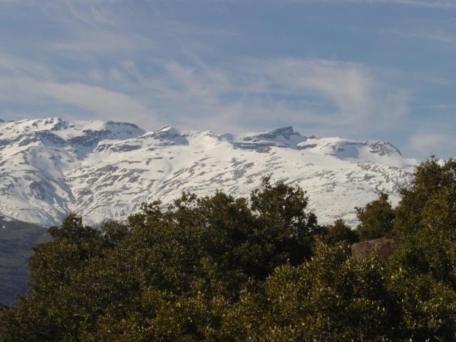 皮特尔Cortijo Prado Toro公寓 外观 照片